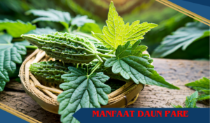 manfaat daun pare untuk batuk