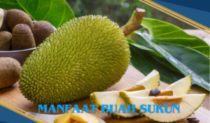 manfaat buah sukun untuk kesehatan