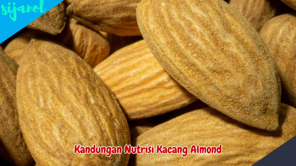 manfaat kacang almond untuk kesehatan 2