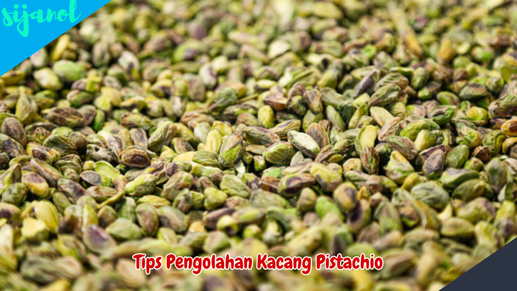 manfaat kacang pistachio untuk kesehatan 3