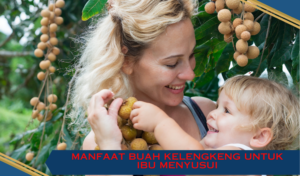 manfaat buah kelengkeng untuk ibu menyusui