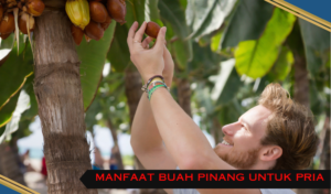 manfaat buah pinang muda untuk pria