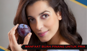 manfaat buah plum untuk kesehatan