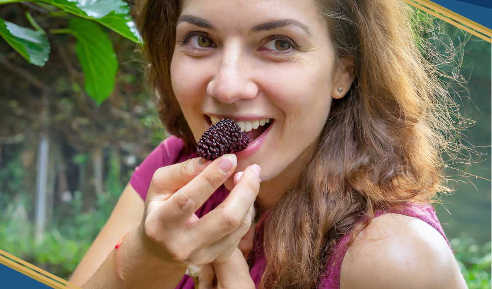 manfaat buah murbei untuk kesehatan