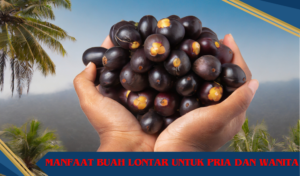 manfaat buah lontar untuk pria