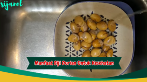 manfaat biji durian untuk kesehatan