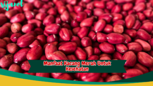 manfaat kacang merah untuk kesehatan