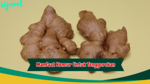 manfaat kencur untuk tenggorokan