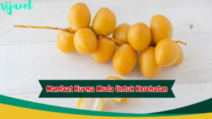 manfaat kurma muda untuk kesehatan