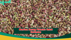 manfaat kacang pistachio untuk kesehatan