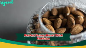 manfaat kacang almond untuk kesehatan