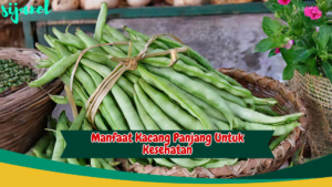 manfaat kacang panjang untuk kesehatan