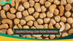 manfaat kacang mete bagi kesehatan