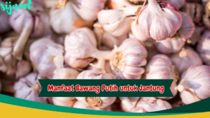 manfaat bawang putih untuk jantung