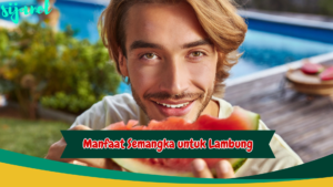 Manfaat Semangka untuk Lambung