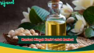 manfaat minyak kemiri untuk rambut