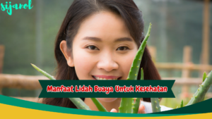 manfaat lidah buaya untuk kesehatan