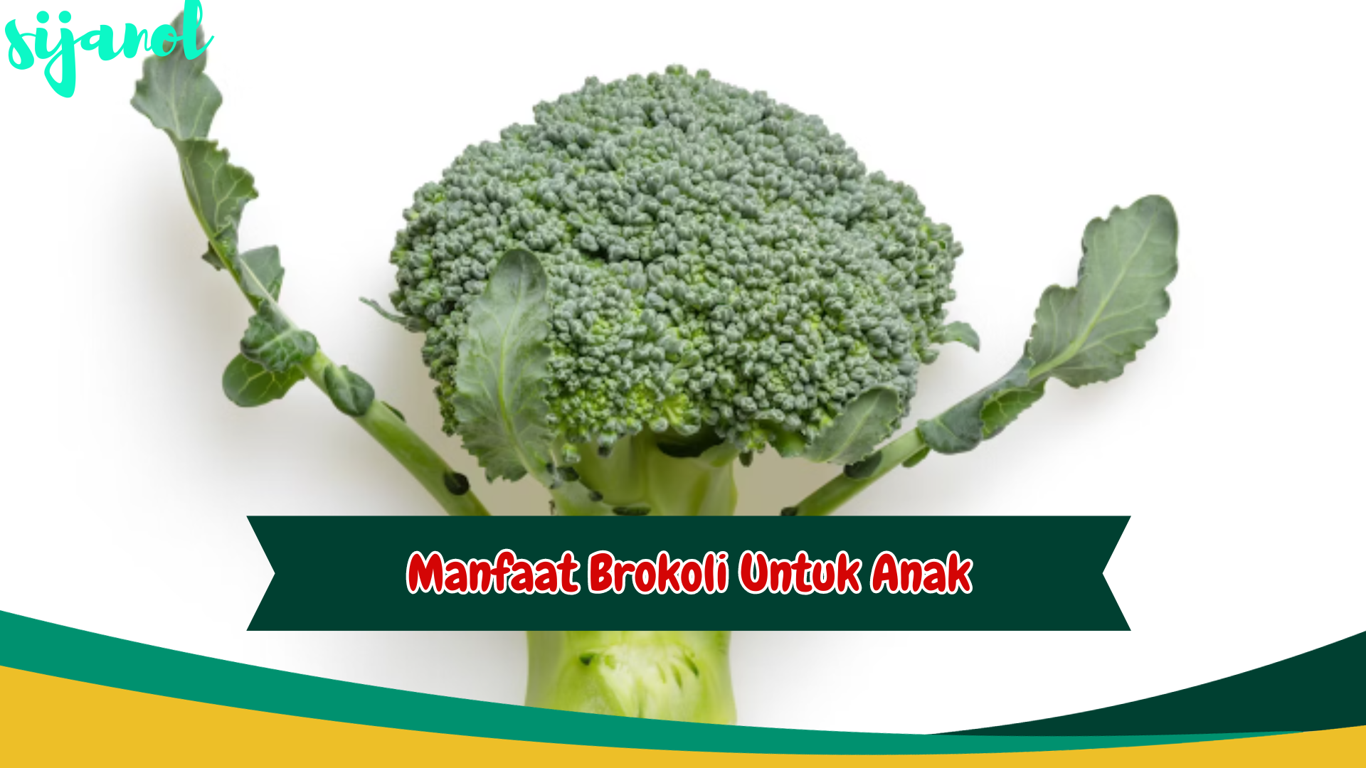 manfaat brokoli untuk kesehatan anak