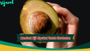 manfaat biji alpukat untuk kesehatan