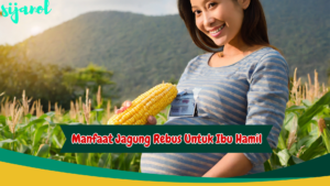 manfaat jagung rebus untuk ibu hamil