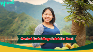 manfaat buah srikaya untuk ibu hamil