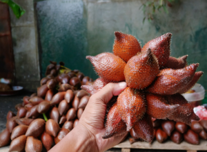 manfaat buah salak untuk pencernaan