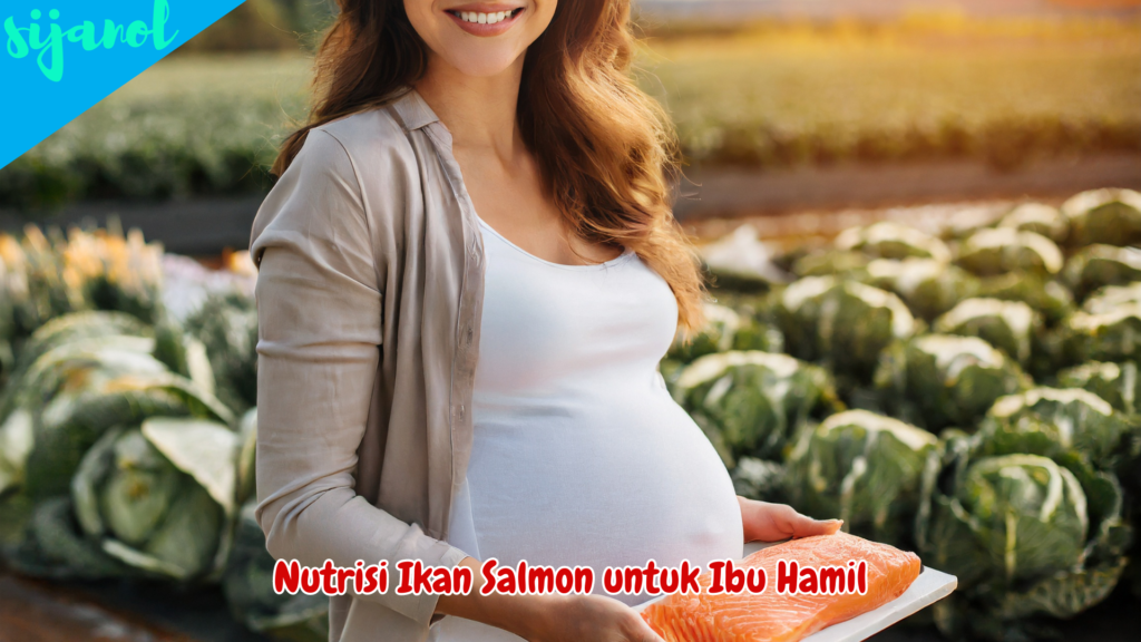 Manfaat Ikan Salmon untuk Ibu Hamil 2