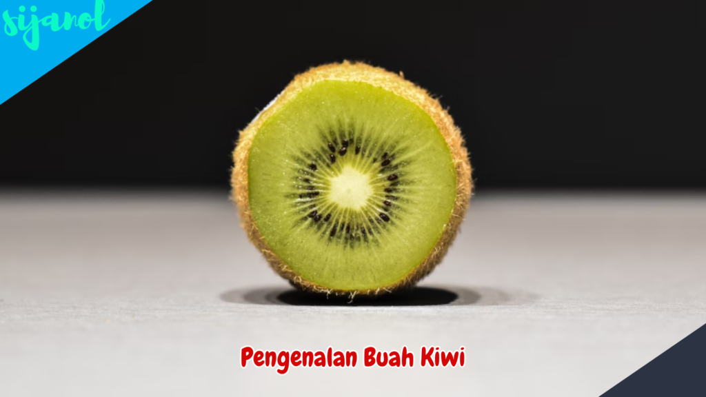 Manfaat Buah Kiwi untuk Kesehatan 2