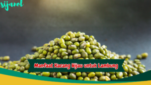 Manfaat Kacang Hijau untuk Lambung