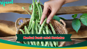 Manfaat Buncis untuk Kesehatan