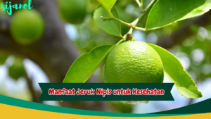 Manfaat Jeruk Nipis untuk Kesehatan