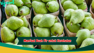 Manfaat Buah Pir untuk Kesehatan