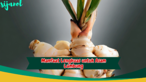 Manfaat Lengkuas untuk Asam Lambung