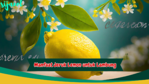 Manfaat Jeruk Lemon untuk Lambung