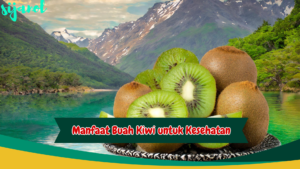 Manfaat Buah Kiwi untuk Kesehatan