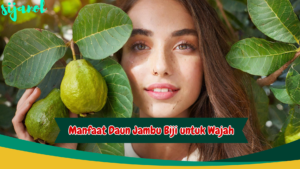 Manfaat Daun Jambu Biji untuk Wajah