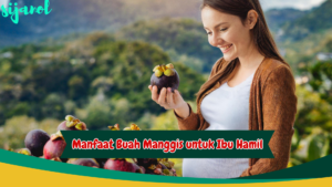 Manfaat Buah Manggis untuk Ibu Hamil