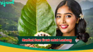 Manfaat Daun Sirsak untuk Lambung