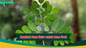 Manfaat Daun Kelor untuk Asam Urat