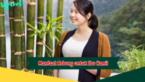 Manfaat Rebung untuk Ibu Hamil