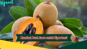 Manfaat Buah Sawo untuk Hipertensi