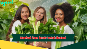 Manfaat Daun Seledri untuk Rambut