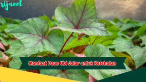 Manfaat Daun Ubi Jalar untuk Kesehatan