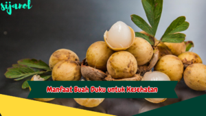 Manfaat Buah Duku untuk Kesehatan