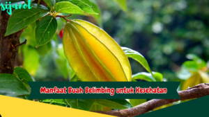 Manfaat Buah Belimbing untuk Kesehatan