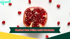 Manfaat Buah Delima untuk Kesehatan