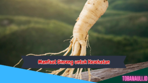 Manfaat Ginseng untuk Kesehatan