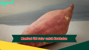 Manfaat Ubi Jalar untuk Kesehatan