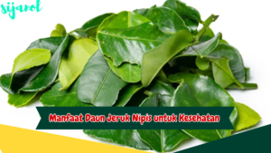 Manfaat Daun Jeruk Nipis untuk Kesehatan