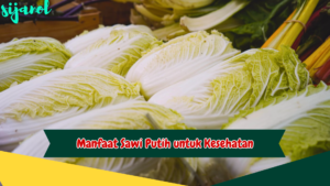 Manfaat Sawi Putih untuk Kesehatan